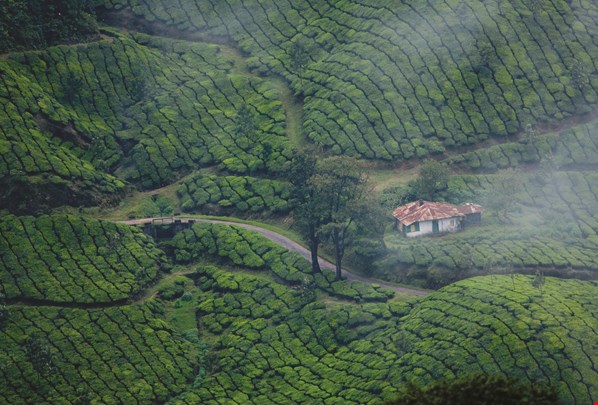 Locations India Kerala  image