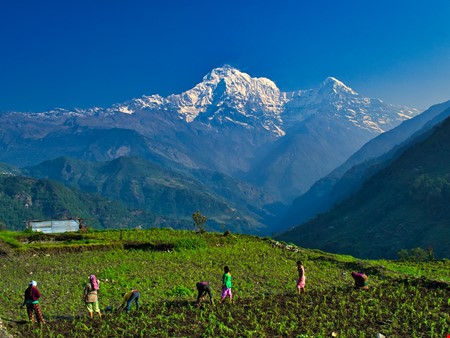 Himalaya image
