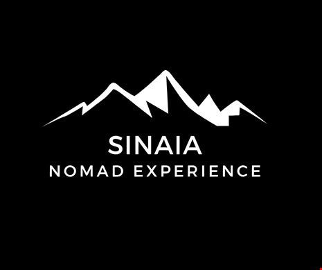 Sinaia Nomad Experience ROMANIA June 2024 image