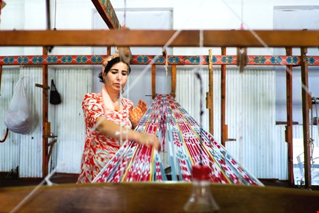 The Silk Road Central Asia image on Nomad Stays