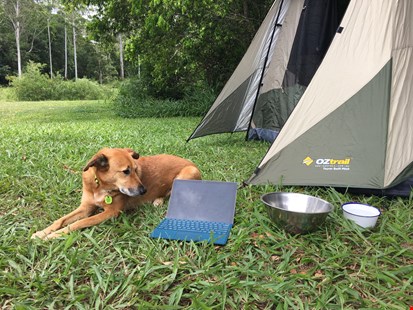 Pets Welcome accommodation for digital nomads