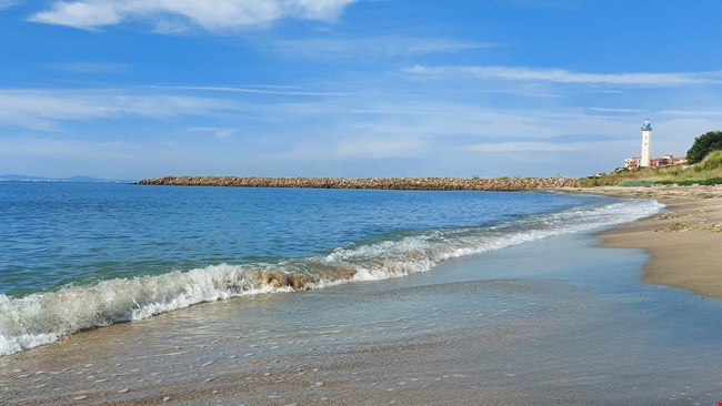 Coco Coworking Coliving room host image