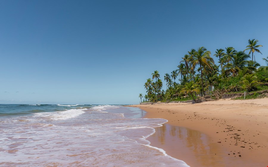 Bahia image