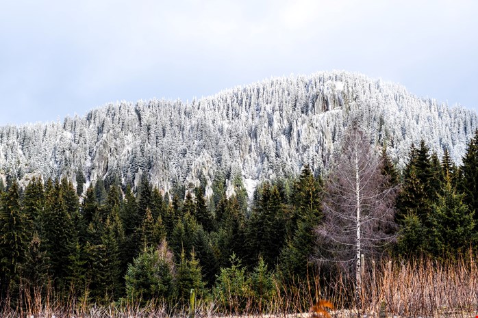 Rhodopes bulgaria accommodation for digital nomads