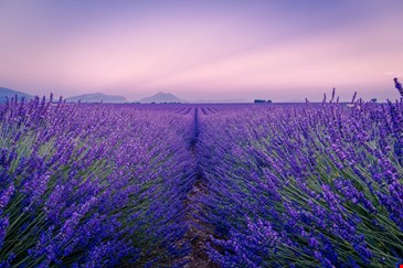 Locations France Provence Alpes Cote d Azur  image