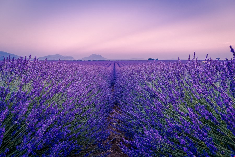 digital nomad Provence Alpes Cote d'Azur image