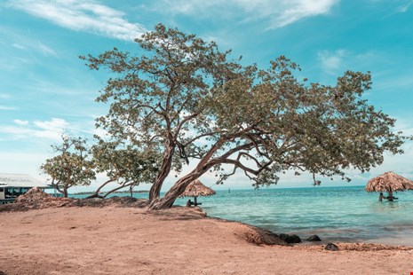 Islas de la Bahia Roatian image