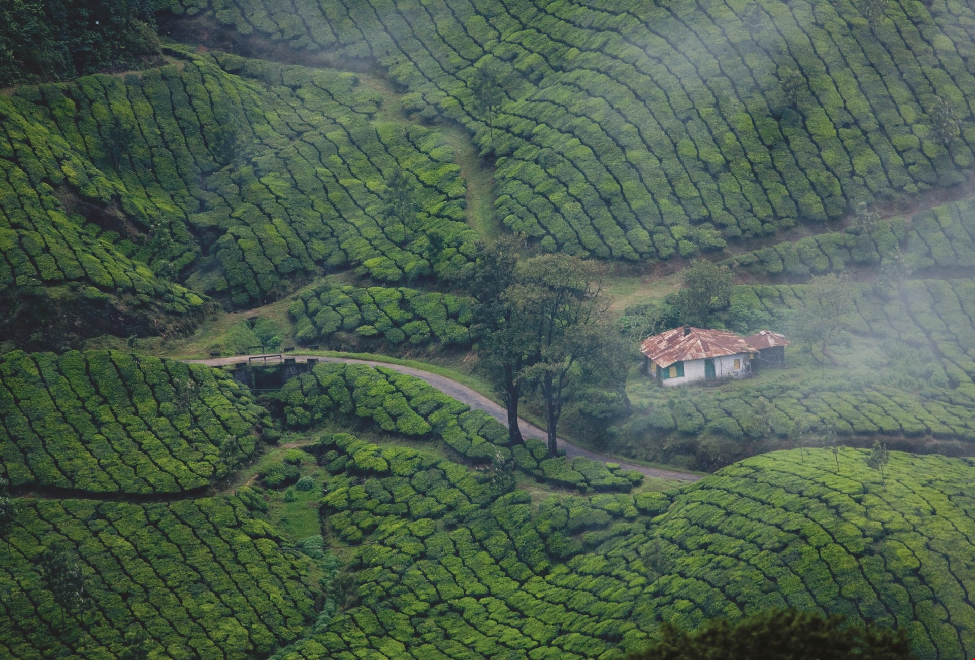 Digital Nomads accommodation in Kerala)