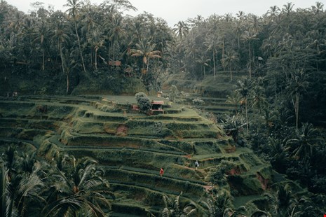 Ubud indonesia accommodation for digital nomads