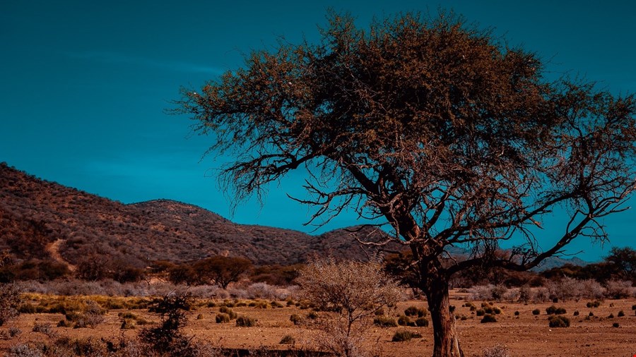 Windhoek image
