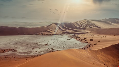 Coastal Namibia image