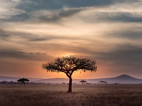 tanzania stays for digital nomads