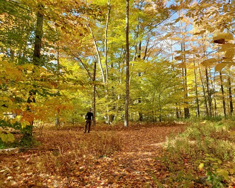 Upstate New York unitedstates accommodation for digital nomads