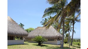 The Bungalows