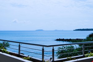 Ancora Unit 203