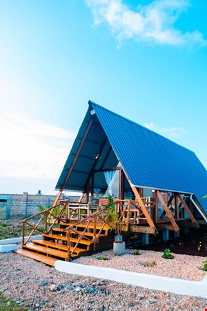 Leo Cabin