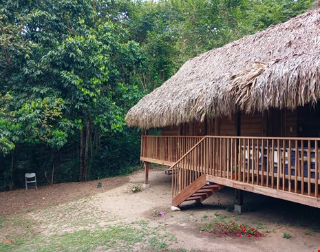 Coco Cabana