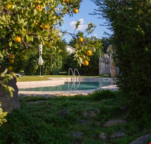 Luna e Limoni Country