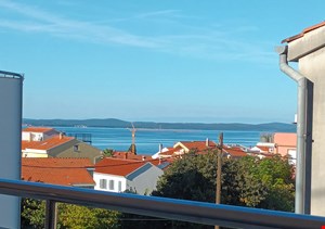 Maya Dalmatia