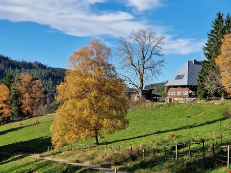 digital nomad stays in Triberg im Schwarzwald Germany 1281