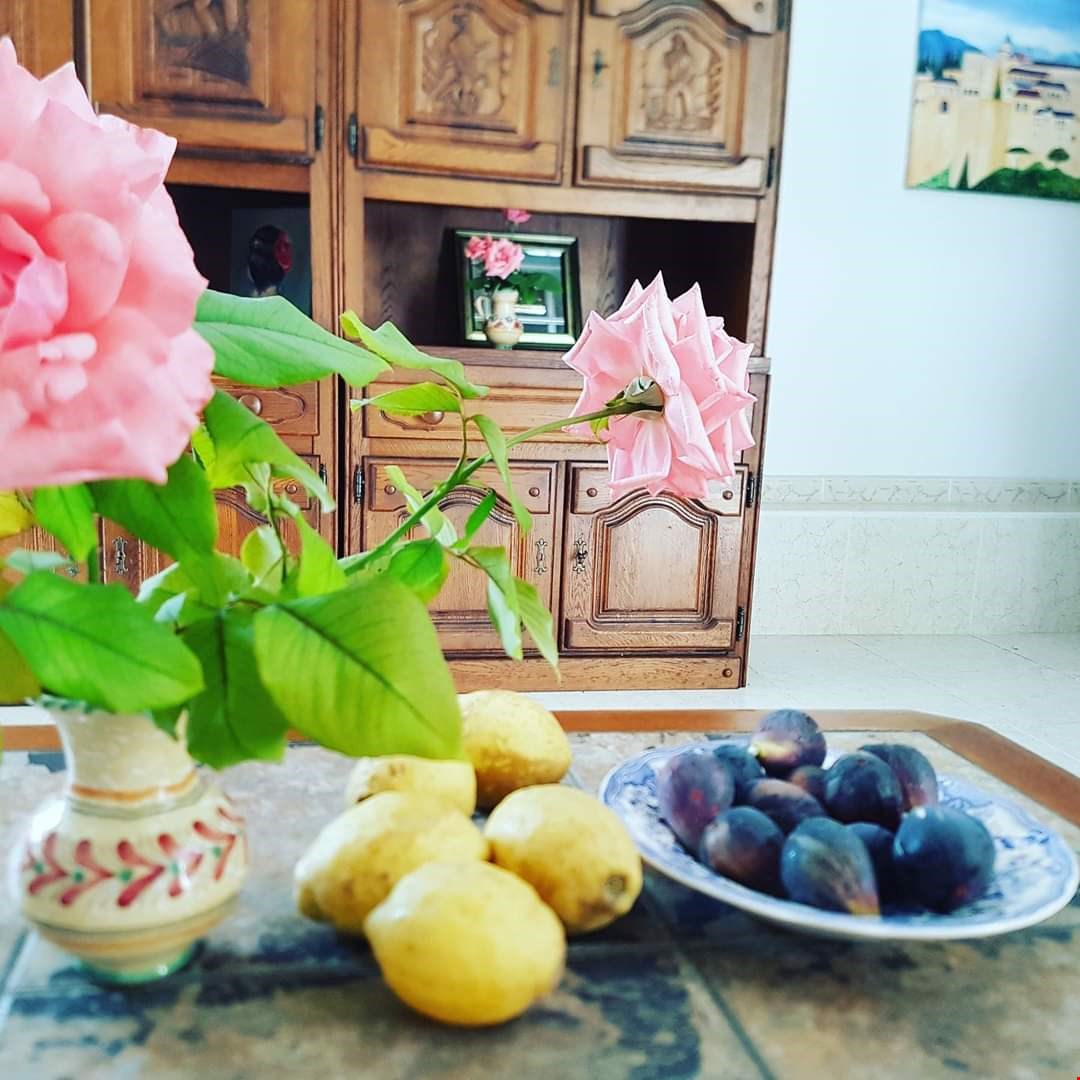 Hotel Torrevieja Spain nomad remote 0d91a285-0a27-49bc-9dc8-4a46356974fa_FB_IMG_1596786057375.jpg