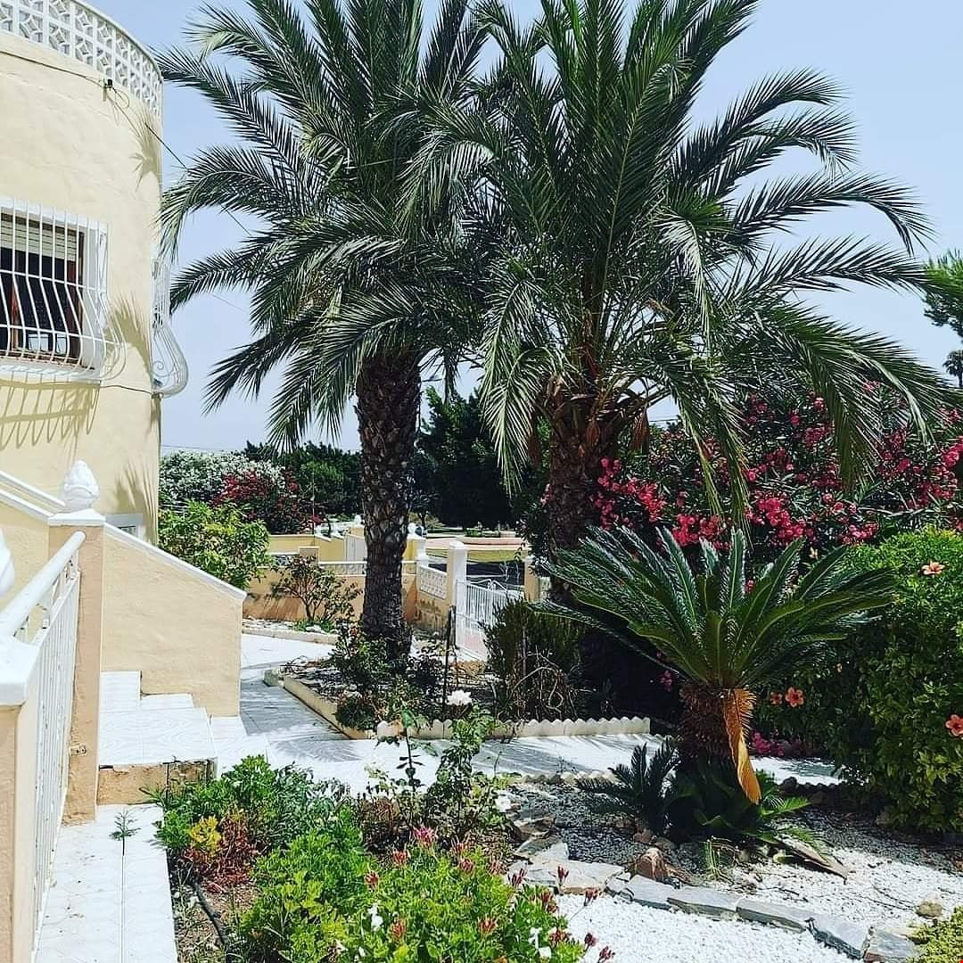 Hotel Torrevieja Spain nomad remote 497748dc-f687-4829-b16a-6ac6ac88e907_IMG_20210222_234448_708.jpg