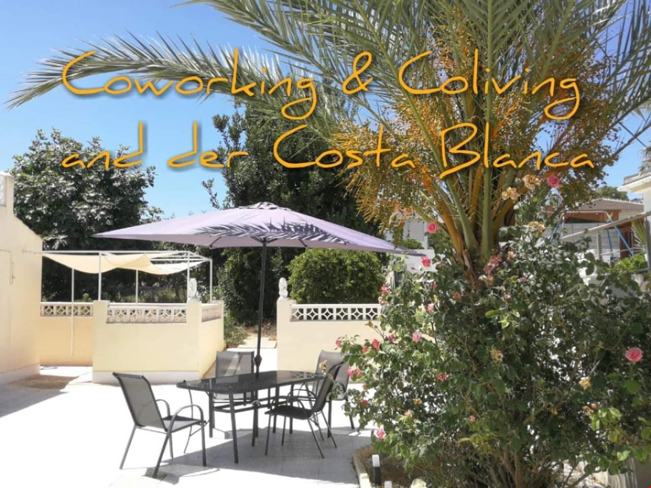 Hotel Torrevieja Spain nomad remote 4c0b940d-4581-41bf-8dec-50d270393fb5_FB_IMG_1570383919417.jpg