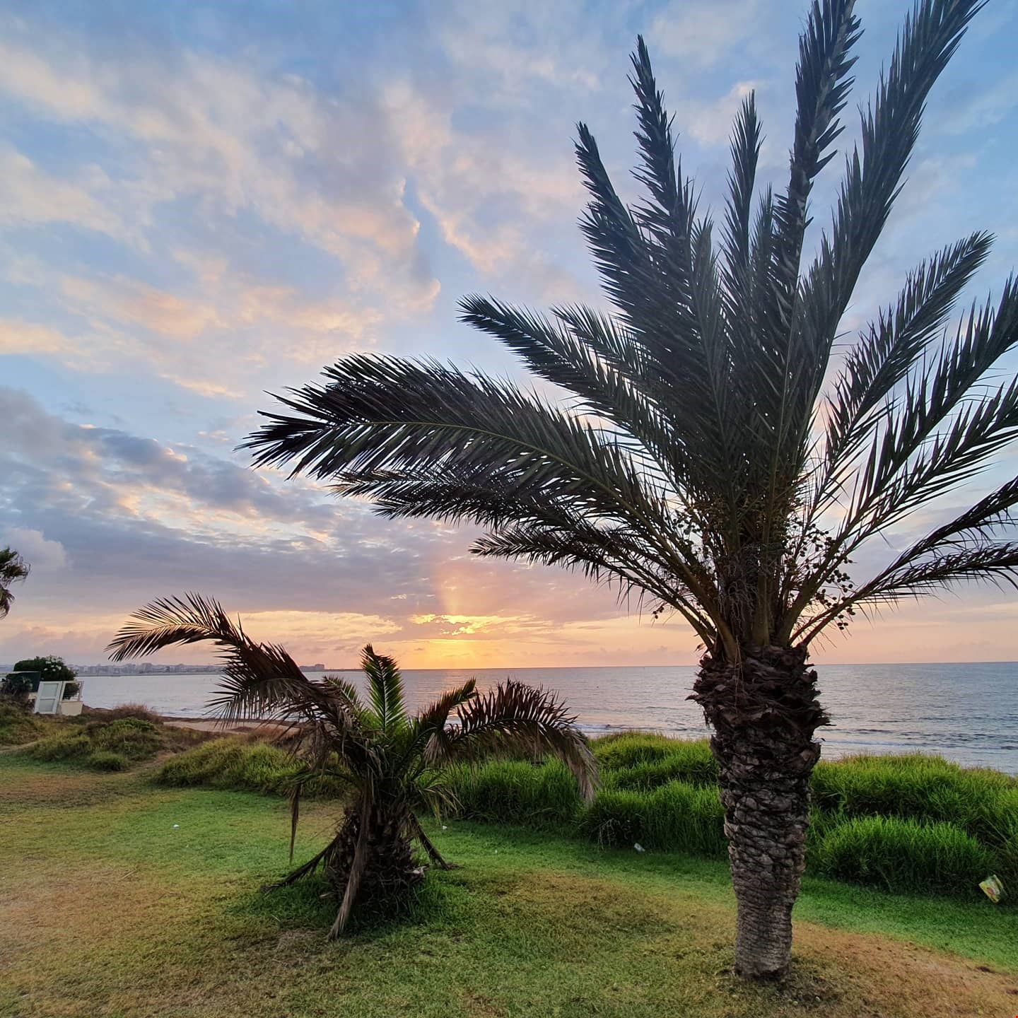 Hotel Torrevieja Spain nomad remote 4c5b2c32-8ab9-4454-991f-12484d950b8b_IMG_20200809_151822_561.jpg