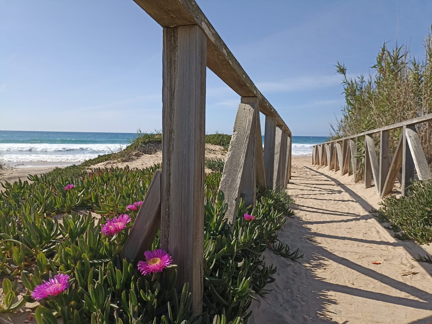 Conil de la Frontera weather and climate