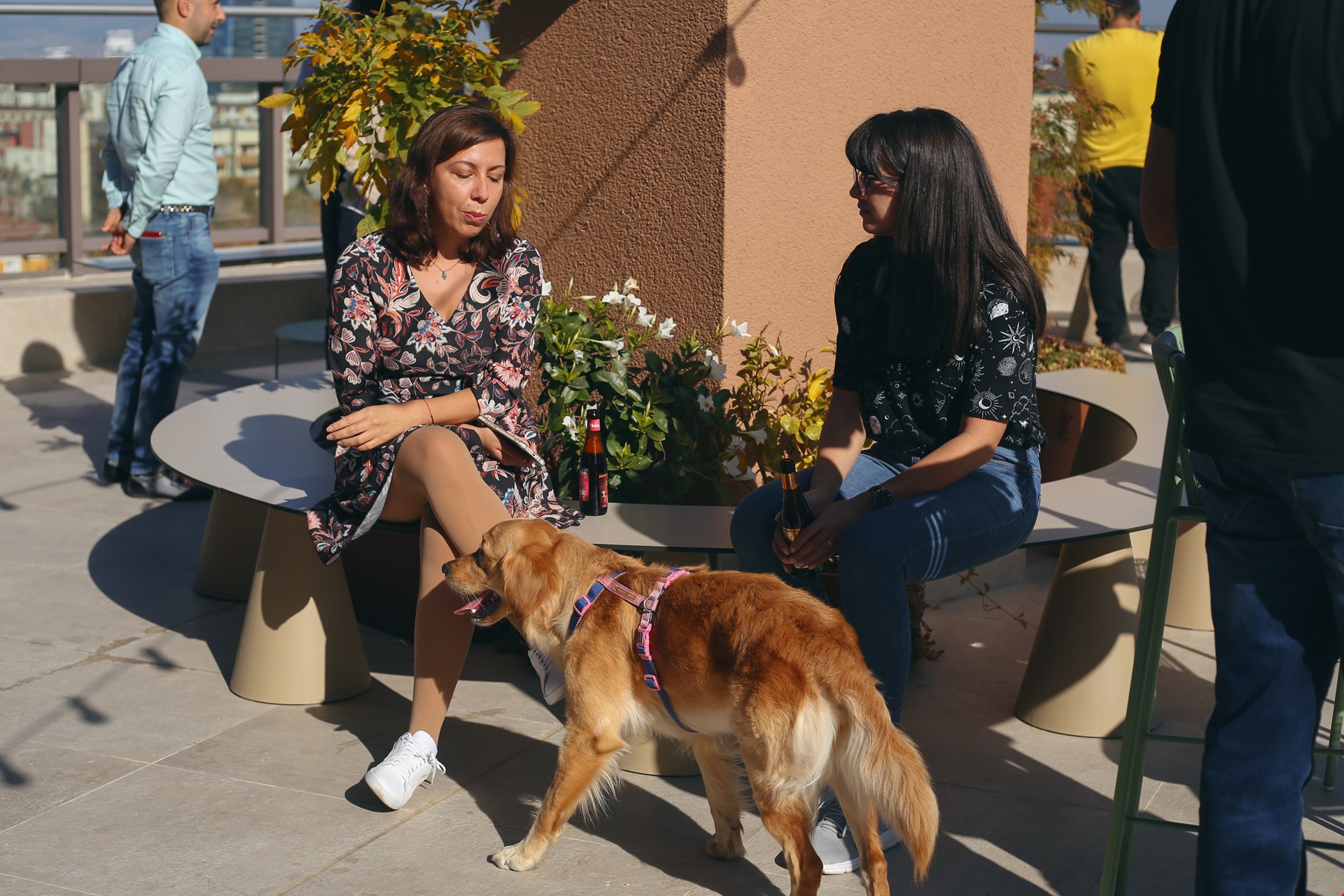 Hotel Sofia Bulgaria nomad remote e62a46cd-eea6-4622-b538-5d7a113593d5_openday31.jpg