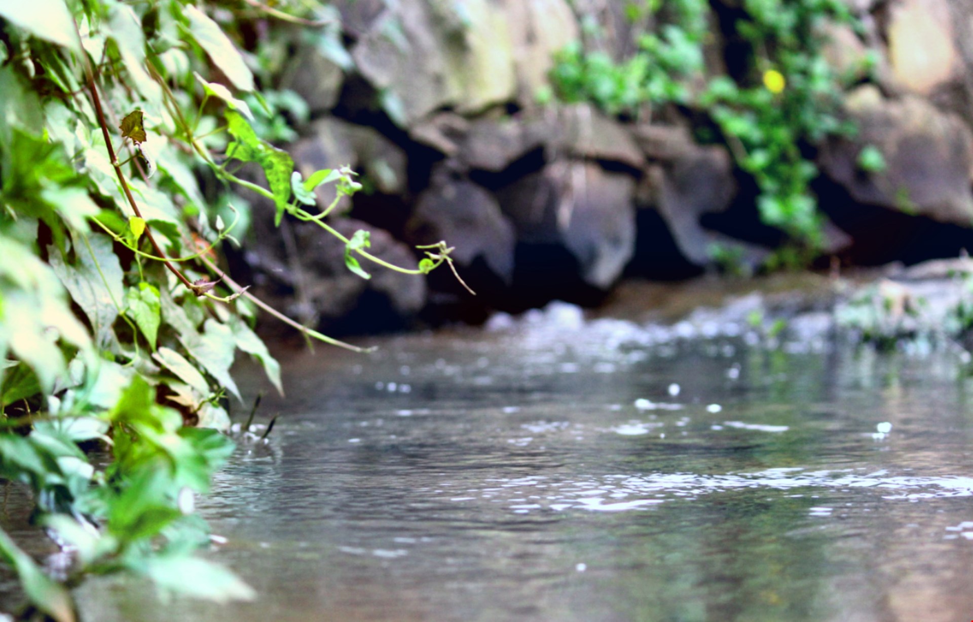 Hotel Chundale India nomad remote 90b520ac-466e-4e87-a2b0-da84bb3e3178_Streamresize.jpg